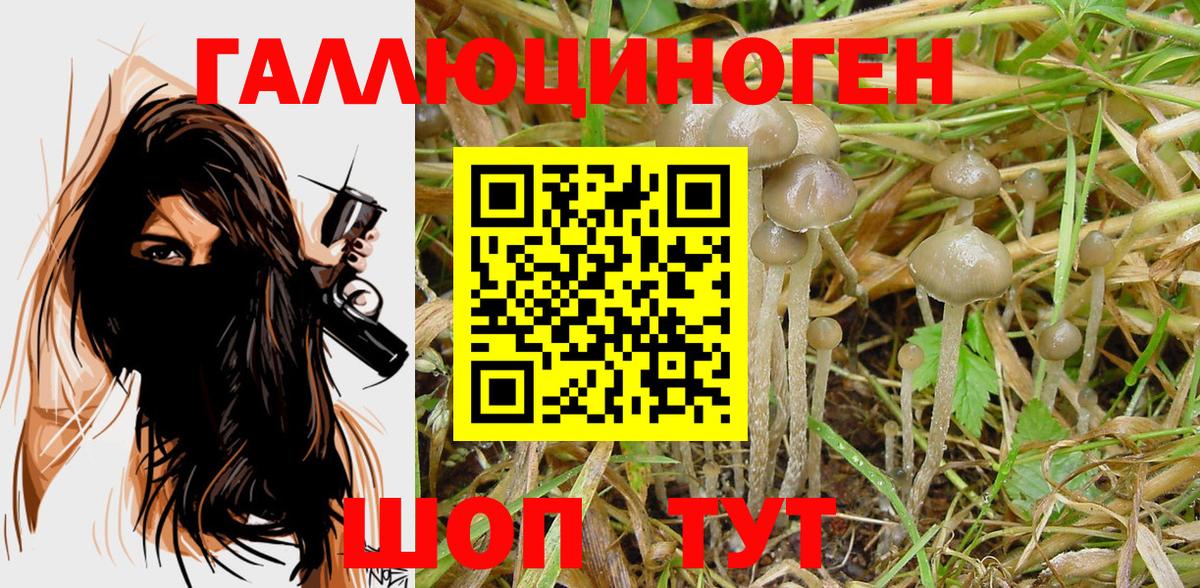 Галлюциногенные грибы прущие грибы  Галлюциногенные грибы GOLDEN TEACHER  Ростов Великий  Вход с VPN 
