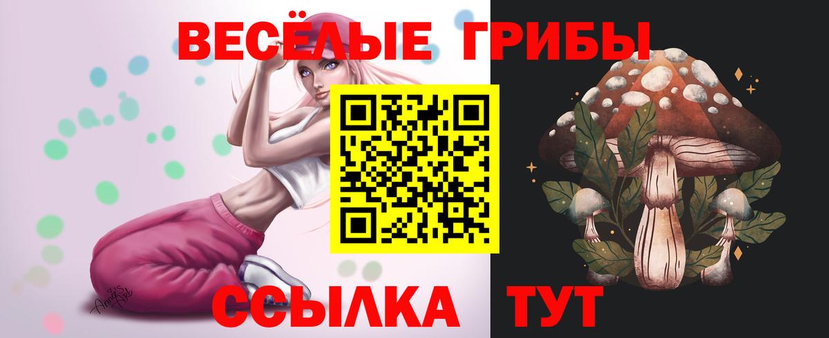 Галлюциногенные грибы ЛСД Ростов Великий
